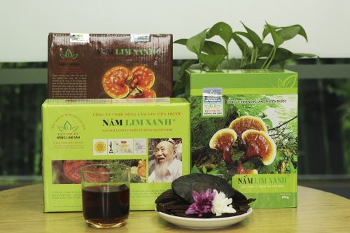 Người dùng nên chọn các sản phẩm nấm lim xanh của công ty TNHH Nông lâm sản Tiên Phước.