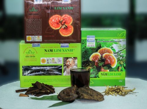 Công dụng nấm lim xanh rừng Quảng Nam có hỗ trợ làm hết được bệnh đau dạ dày không?