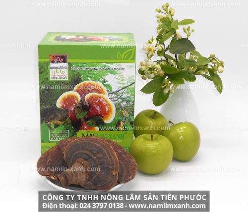 Chất Ling zhi-8 protein trong nấm lim xanh ngừa ung thư