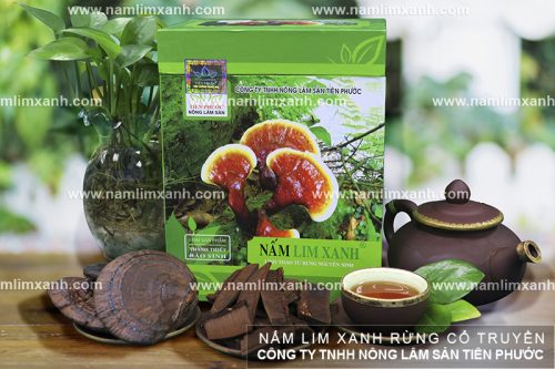 Cây nấm lim xanh rừng tự nhiên và công dụng của vitamin trong nấm lim