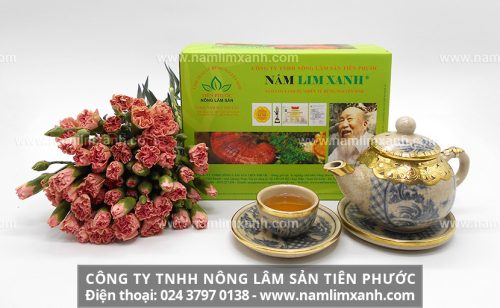 Các loại nấm lim xanh của Công ty Nông Lâm Sản Tiên Phước phân phối.