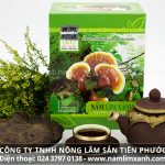 Cách dùng nấm lim xanh chữa ung thư hiệu quả