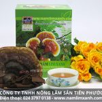 Cách sử dụng đúng công dụng nấm lim xanh tự nhiên