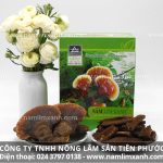 Cách sử dụng đúng công dụng nấm lim xanh tự nhiên