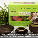 Cách uống nước nấm lim xanh phát huy tác dụng nấm cây lim