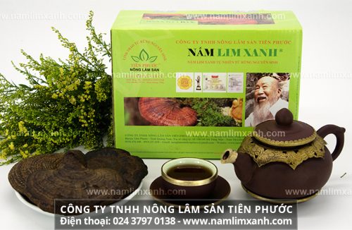 Cách uống nước nấm lim xanh phát huy tác dụng nấm cây lim