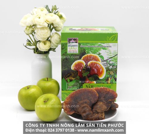Công ty TNHH Nông lâm sản Tiên Phước là công ty giữ bí quyết gia truyền chế biến nấm lim xanh