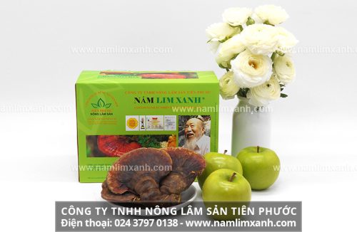 Nấm lim xanh có công dụng chữa bệnh gì hiệu quả