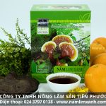 Nấm lim xanh cổ truyền Thanh Thiết Bảo Sinh uy tín tuyệt đối