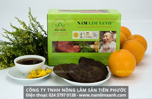 Nấm lim xanh tự nhiên loại Nguyên cây - Sản phẩm 100% từ rừng tự nhiên