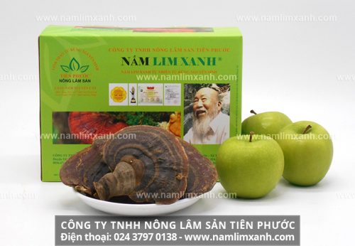 Sản phẩm Nấm Lim Xanh của công ty TNHH nông lâm sản Tiên Phước