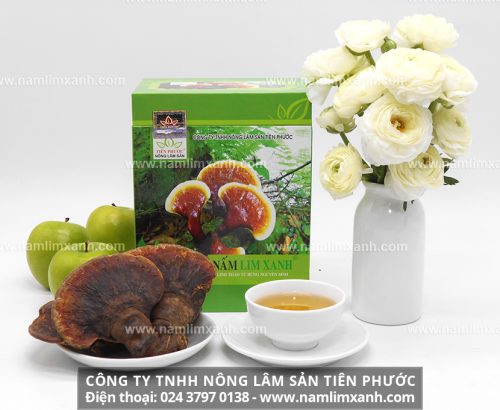 Sản phẩm Nấm lim xanh của Công ty TNHH Nông Lâm Sản Tiên Phước được bán ở đại lý