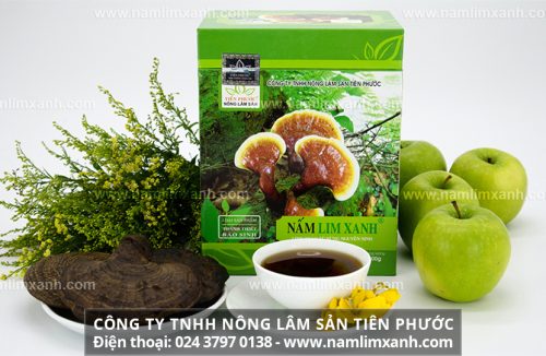 Tác dụng nấm lim xanh Thanh Thiết Bảo Sinh với bệnh ung thư