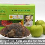 Tác dụng nấm lim xanh chữa ung thư như thế nào