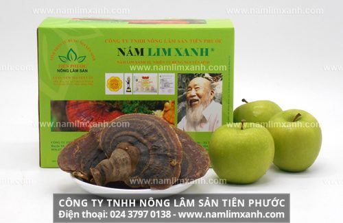 Tác dụng nấm lim xanh chữa ung thư như thế nào