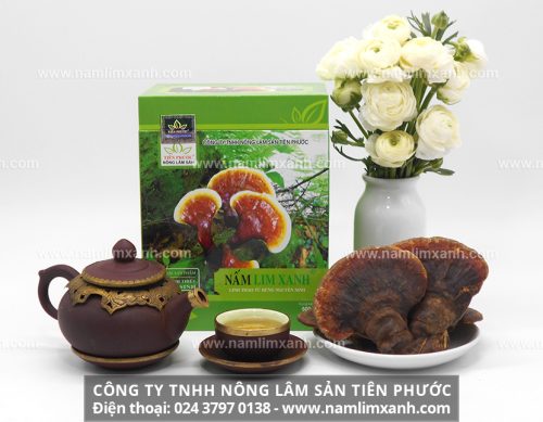 Giá bán nấm lim tự nhiên Lào trên thị trường hiện nay và giá bán nấm lim xanh rừng Tiên Phước