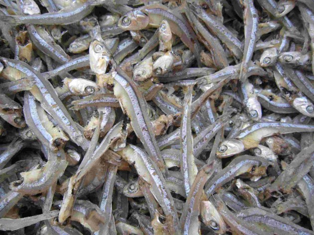 Cá khô là loại thực phẩm được ướp quá nhiều muối