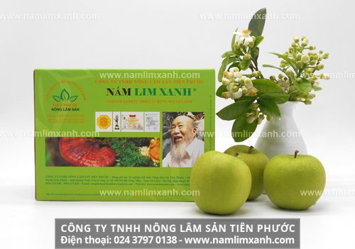Địa chỉ bán nấm lim xanh tại Hà Nội và giá nấm lim xanh niêm yết toàn quốc của công ty Tiên Phước