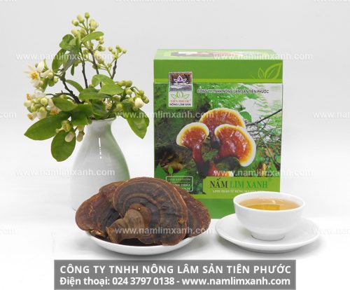 Nấm lim xanh rừng của công ty TNHH Nông Lâm Sản Tiên Phước được chế biến theo phương pháp gia truyền