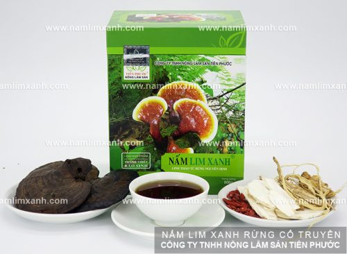 Công ty Nông Lâm Sản Tiên Phước có bán nấm lim xanh Thanh thiết bảo sinh là loại tốt nhất.