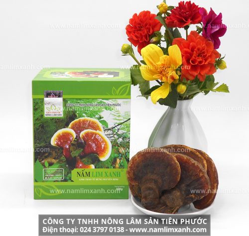 Công ty Tiên Phước luôn mong muốn mang đến cho quý khách hàng những sản phẩm nấm lim xanh chính hãng có chất lượng tốt nhất