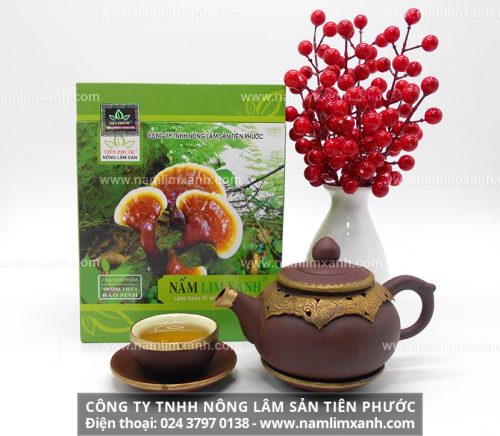 Đại lý uy tín được ủy quyền phân phối sản phẩm nấm lim xanh Tiên Phước chính hãng của công ty Nông lâm sản Tiên Phước