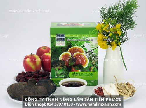 Địa chỉ phân phối độc quyền sản phẩm nấm lim xanh tại Tây Ninh của Công ty TNHH Nông lâm sản Tiên Phước