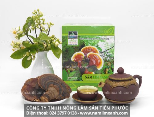 Giá bán nấm lim xanh Công ty Tiên Phước loại Thanh-Thiết-Bảo-Sinh