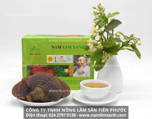Giá bán nấm lim xanh rừng tự nhiên của Công ty TNHH Nông lâm sản Tiên Phước bao nhiêu 1kg và nơi mua chính hãng tại Bắc Giang