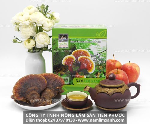 Giá nấm lim xanh chính hãng Công ty TNHH Nông lâm sản Tiên Phước và địa chỉ mua uy tín
