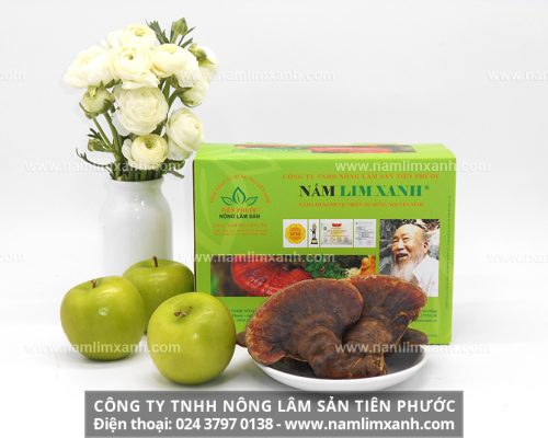 Mua nấm lim xanh Quảng Nam chính hãng ở đâu đúng công ty TNHH Nông lâm sản Tiên Phước