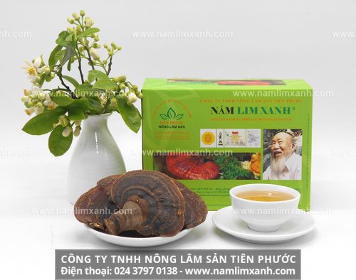 Nhà thuốc Lê Văn Hội là đơn vị độc quyền phân phối sản phẩm nấm lim xanh Tiên Phước tại tỉnh Yên Bái