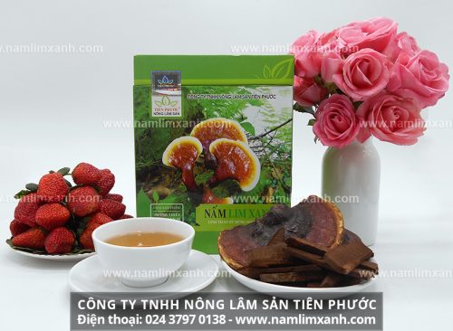 Nơi bán sản phẩm nấm lim xanh tại Huế của Công ty TNHH Nông lâm sản Tiên Phước