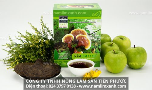 Nơi mua bán nấm lim xanh ở Quảng Ngãi chuẩn nấm lim rừng tự nhiên.