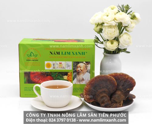 Sản phẩm nấm lim xanh Quảng Nam có tác dụng tốt cho sức khỏe