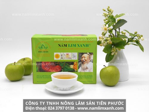 Sản phẩm nấm lim xanh Tiên Phước được phân phối độc quyền tại đại lý ở Hà Tĩnh