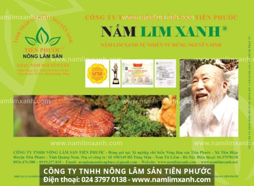 Sản phẩm nấm lim xanh chính hãng của Công ty TNHH Nông lâm sản Tiên Phước