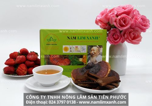 Sản phẩm nấm lim xanh chính hãng được bán tại các đại lý ủy quyền ở Nghệ An của Công ty TNHH Nông lâm sản Tiên Phước