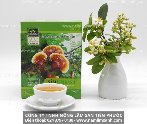Sản phẩm nấm lim xanh của Công ty TNHH Nông lâm sản Tiên Phước bảo đảm sản phẩm chính hãng và chế độ chăm sóc hậu mãi tận tình, chu đáo