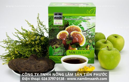Sản phẩm nấm lim xanh của Công ty TNHH Nông lâm sản Tiên Phước có công dụng tốt cho sức khỏe