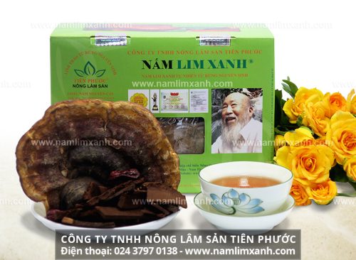 Sản phẩm nấm lim xanh của Công ty TNHH Nông lâm sản Tiên Phước luôn được nhiều người dùng tin tưởng lựa chọn
