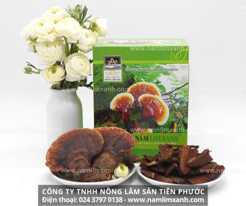 Sản phẩm nấm lim xanh được bán trong các đại lý ủy quyền chính thức tại Quảng Bình