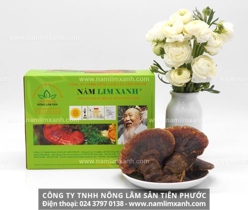 Sản phẩm nấm lim xanh rừng được bán tại Nam Định
