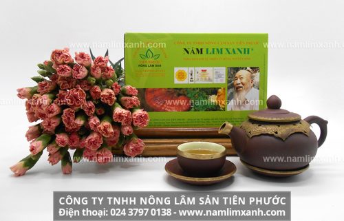 Sản phẩm nấm lim xanh rừng tự nhiên ở đại lý bán nấm lim xanh tại Tuyên Quang