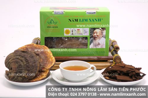Nơi bán nấm lim xanh tại Đà Nẵng có giá nấm lim xanh Tiên Phước bao nhiêu 1kg?