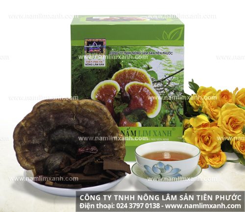 Nơi mua nấm lim xanh ở HCM và địa chỉ bán nâm lim xanh đúng công ty Tiên Phước tại Hồ Chí Minh