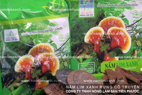 Sản phẩm nấm lim xanh của Công ty TNHH Nông lâm sản Tiên Phước luôn được nhiều người dùng tin tưởng lựa chọn