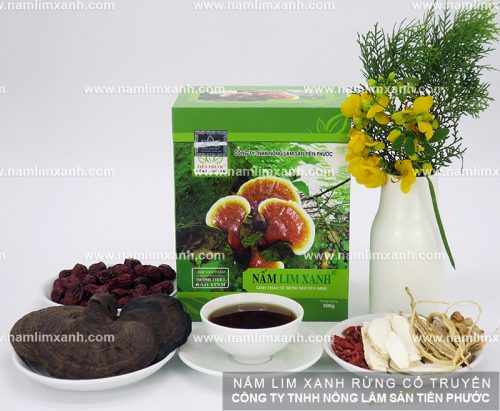 Sản phẩm nấm lim xanh rừng được bán nhiều tại Hà Nội