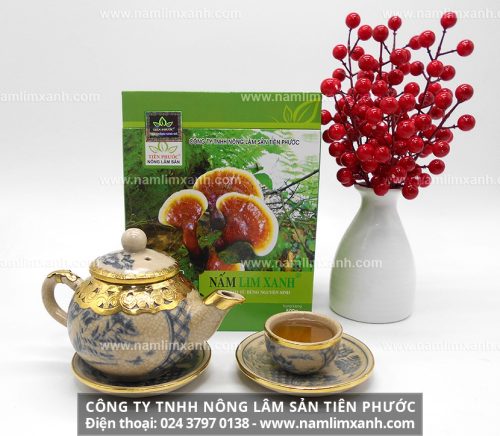 Địa chỉ tin cậy mua nấm lim xanh tại Hà Giang đúng công ty TNHH Nông lâm sản Tiên phước
