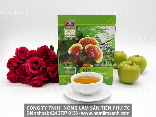 Bán nấm lim xanh tại Đà Nẵng ở đâu và địa chỉ mua nấm lim xanh rừng tự nhiên thật tại Đà Nẵng